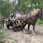 zdjęcie nr 75