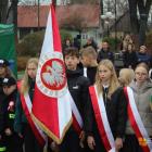 zdjęcie nr 7