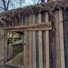 zdjęcie nr 8