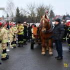 zdjęcie nr 55