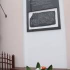 zdjęcie nr 19