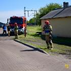 zdjęcie nr 49