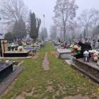 zdjęcie nr 26
