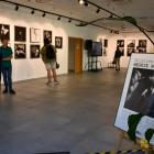 Fotka nr 3 z 72