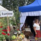 zdjęcie nr 104