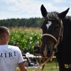 zdjęcie nr 114