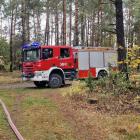 zdjęcie nr 54