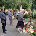 zdjęcie nr 37