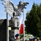 zdjęcie nr 11
