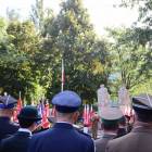 zdjęcie nr 21
