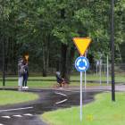 zdjęcie nr 8