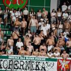 zdjęcie nr 200
