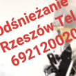 zdjęcie nr 