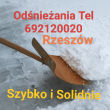 zdjęcie nr 