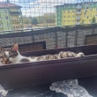 zdjęcie nr 