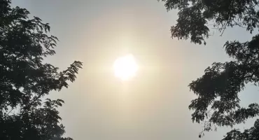 Uwaga! Ostrzeżenie meteorologiczne przed upałem i burzami w powiecie bialskim