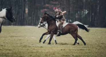 Galopem w stronę tradycji! Hubertus Janowski 2025 w sercu Stadniny