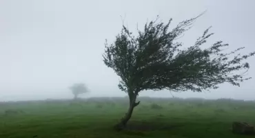 Trudne warunki w postaci silnych wiatrów w województwie lubelskim. Instytut Meteorologii i Gospodarki Wodnej wydał komunikat