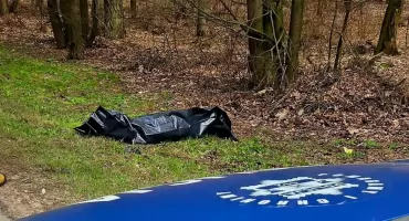 Alarm w lesie przy DW 811. „Radioaktywne znalezisko” okazało się czymś zupełnie innym