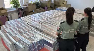 Kontenery pod lupą rentgena. Wielki przemyt papierosów o wartości miliona złotych udaremniony w Małaszewiczach